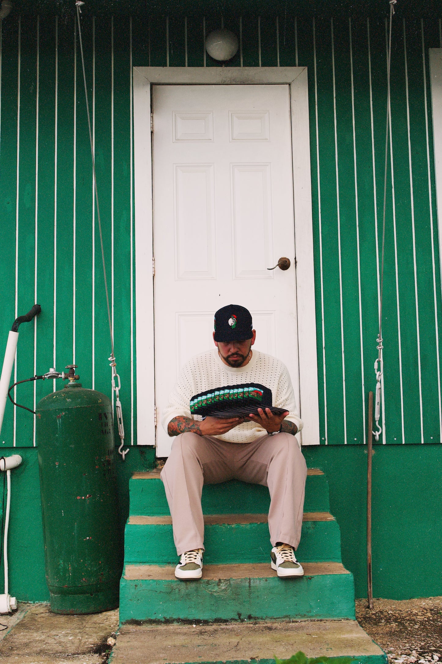 "flamboyán"🌳🦜📍🇵🇷