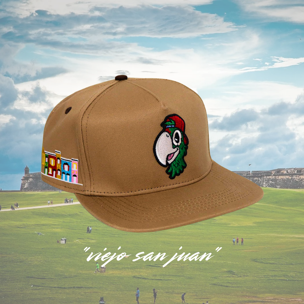 "viejo san juan"