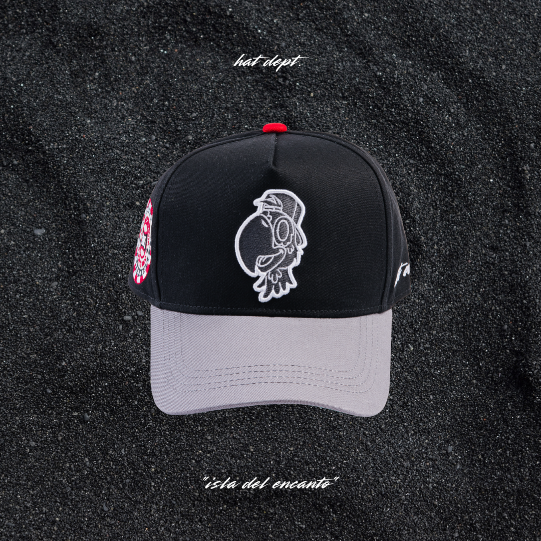 "isla del encanto"🇵🇷🦜🧢