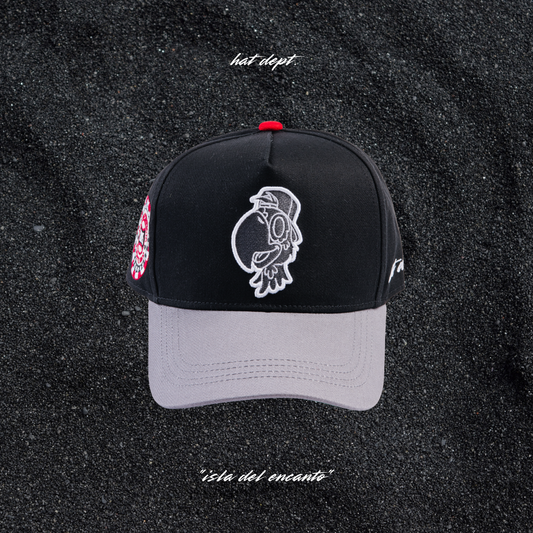 "isla del encanto"🇵🇷🦜🧢