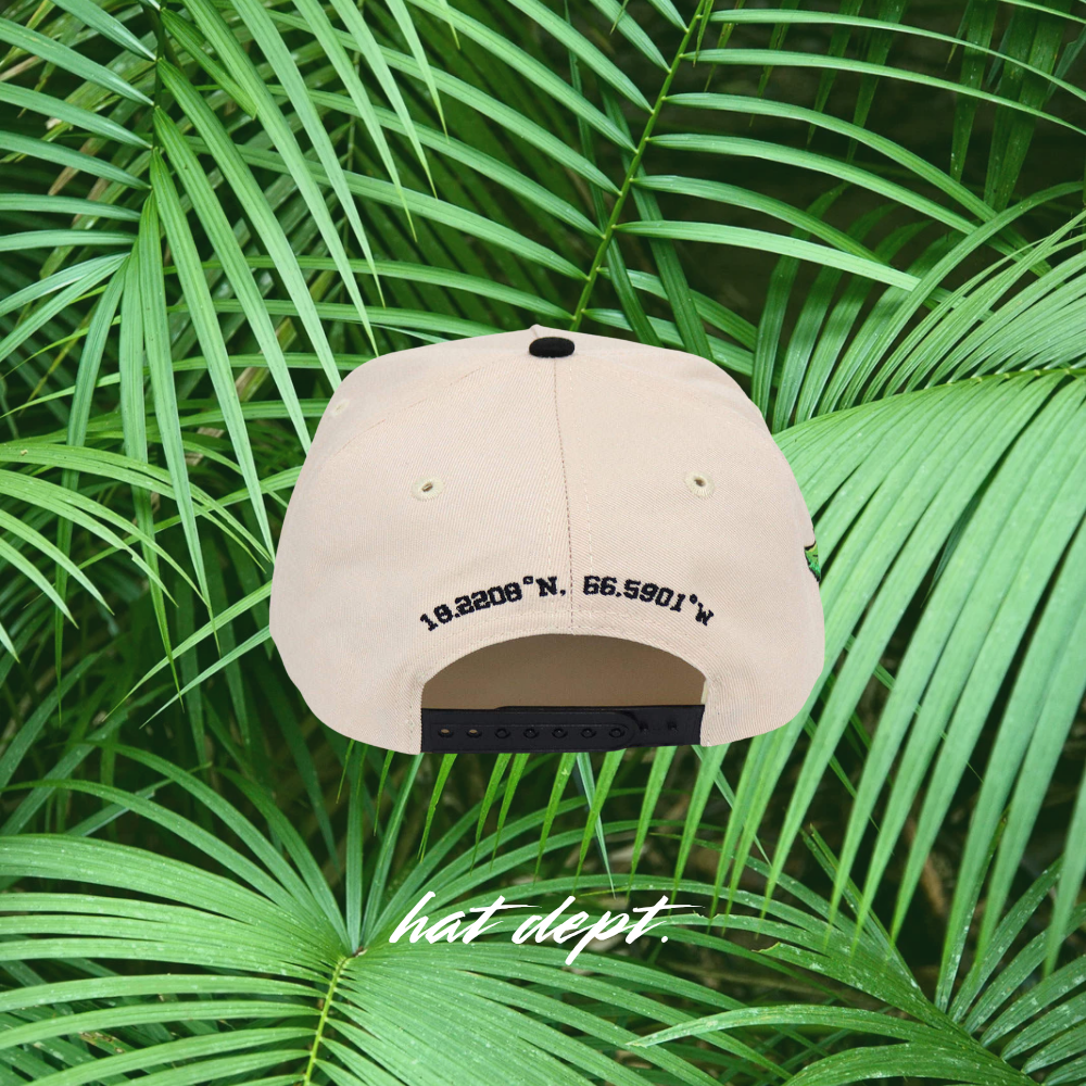 LATITUD PERFECTA AMAPOLA EDITION🌺