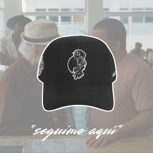 "seguimo aquí"📍🇵🇷🦜