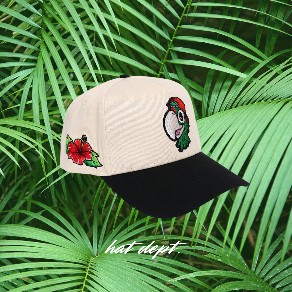 LATITUD PERFECTA AMAPOLA EDITION🌺