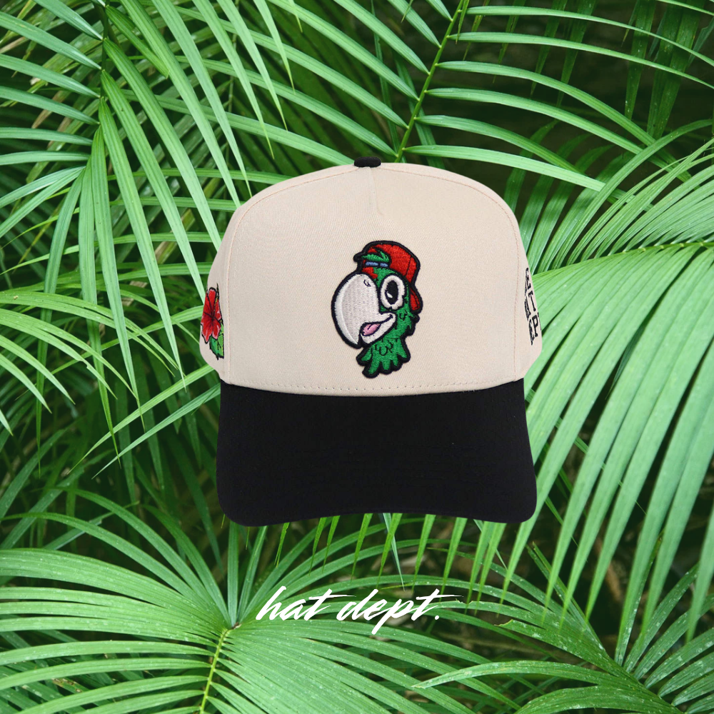 LATITUD PERFECTA AMAPOLA EDITION🌺