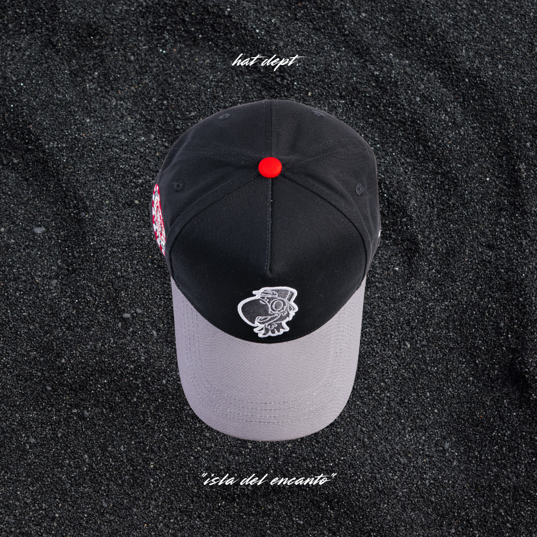 "isla del encanto"🇵🇷🦜🧢