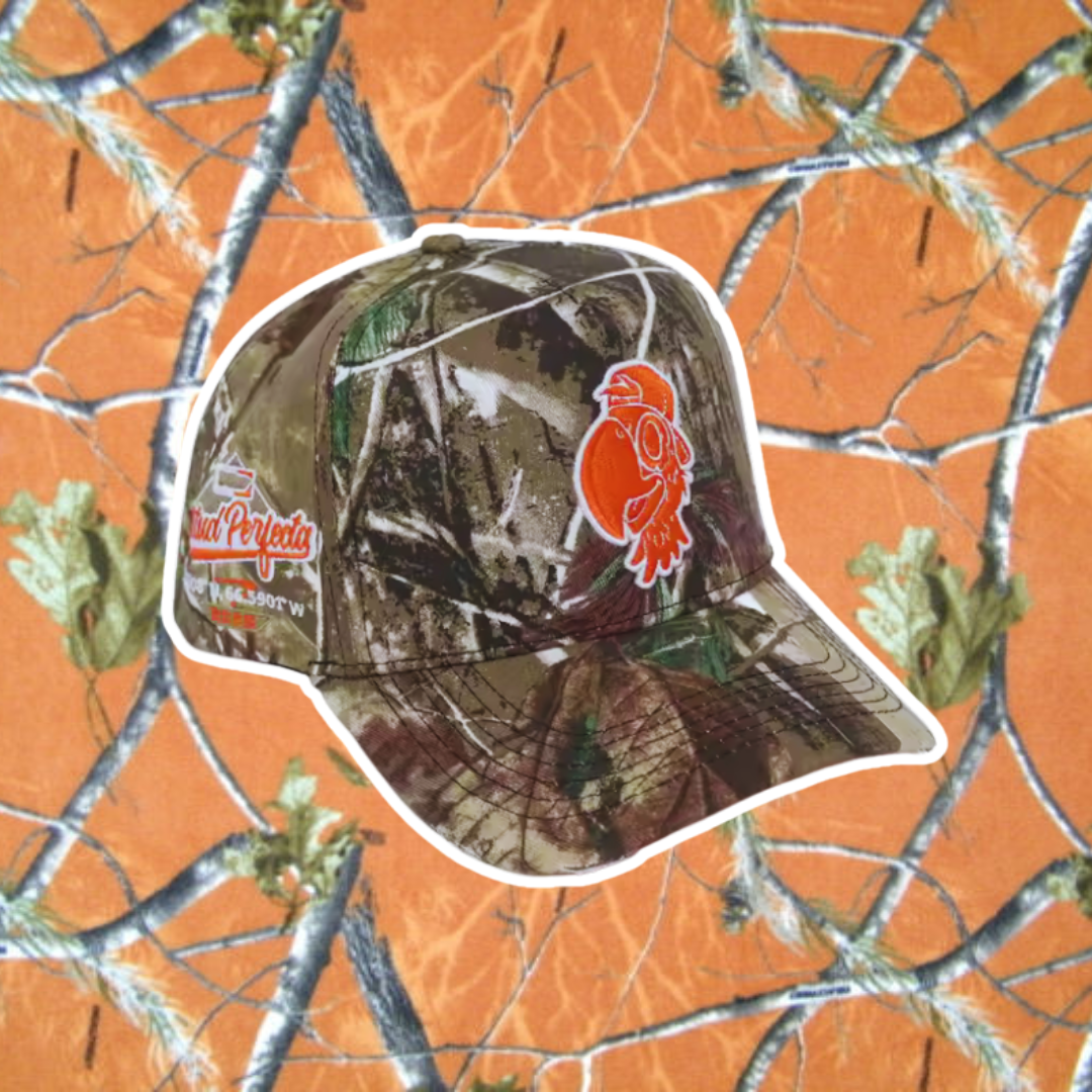 Nadie la vio venir🌳🟠