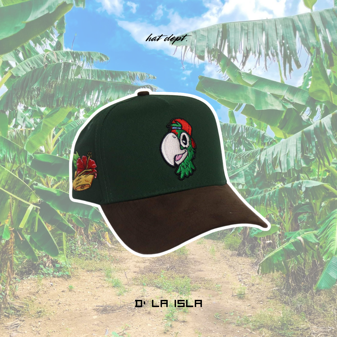 D' LA ISLA🌺🦜🌴🇵🇷📍