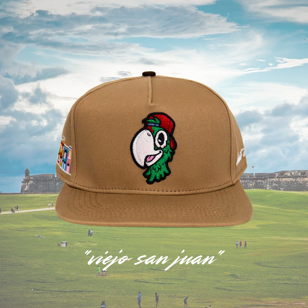 "viejo san juan"