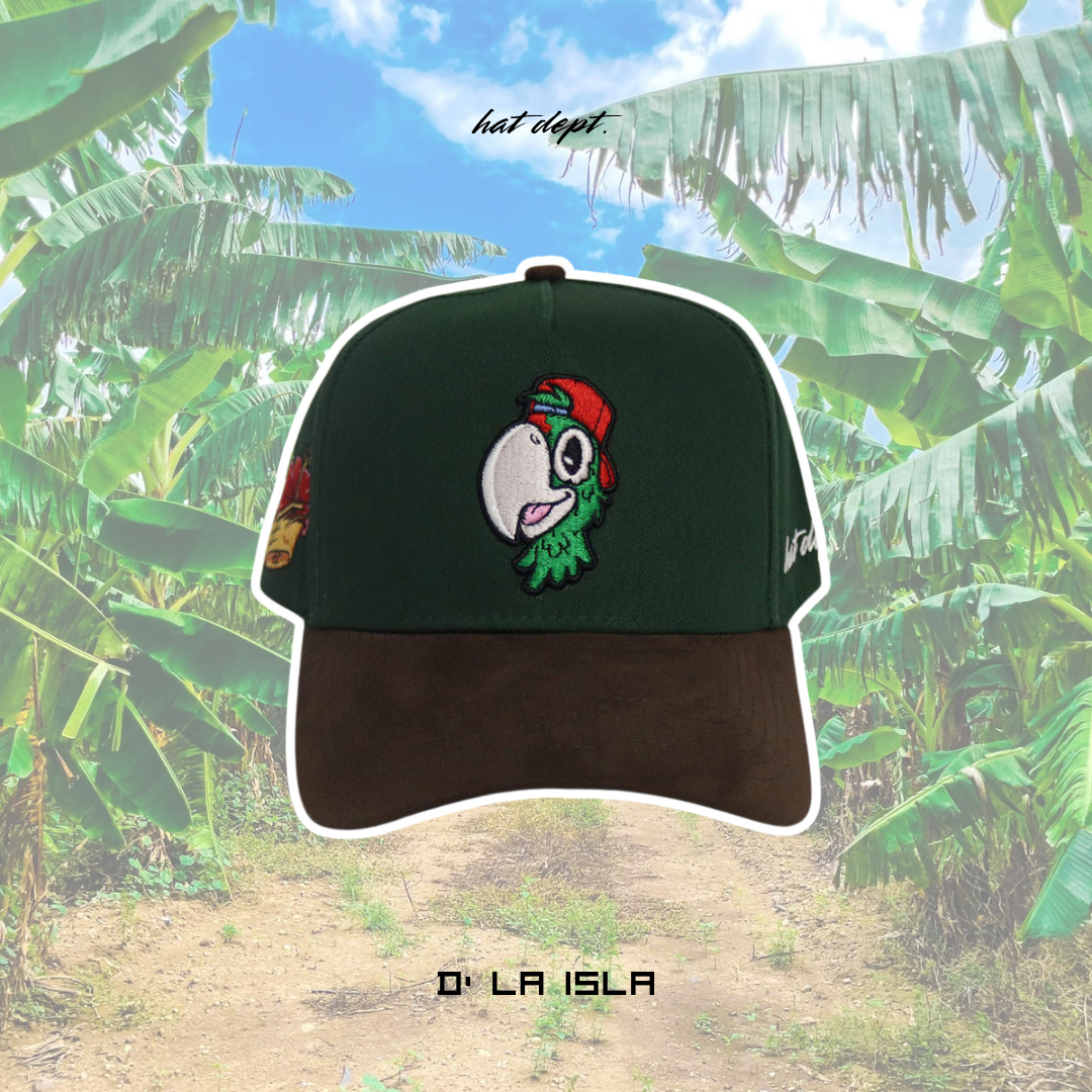 D' LA ISLA🌺🦜🌴🇵🇷📍